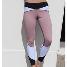 High Waisted Cosmetic Panel Tights